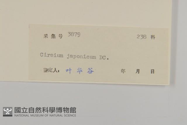 小薊藏品圖，第3張