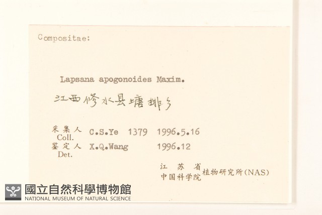 稻槎菜藏品圖，第3張