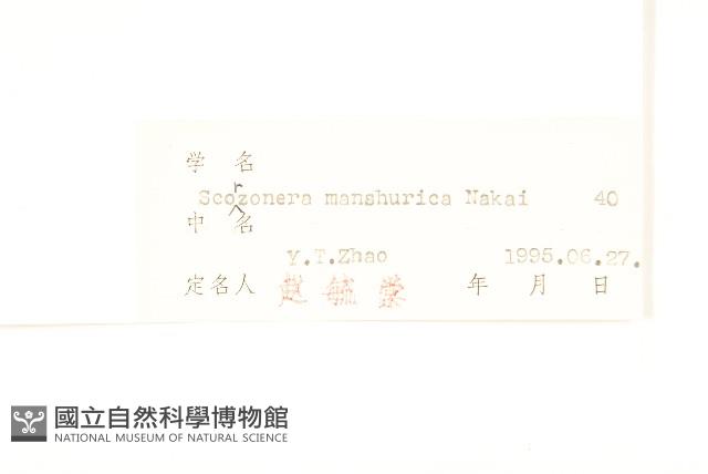 Accession Number:S026363 Collection Image, Figure 3, Total 3 Figures