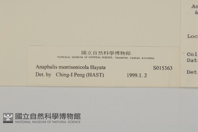 玉山抱莖籟簫藏品圖，第3張