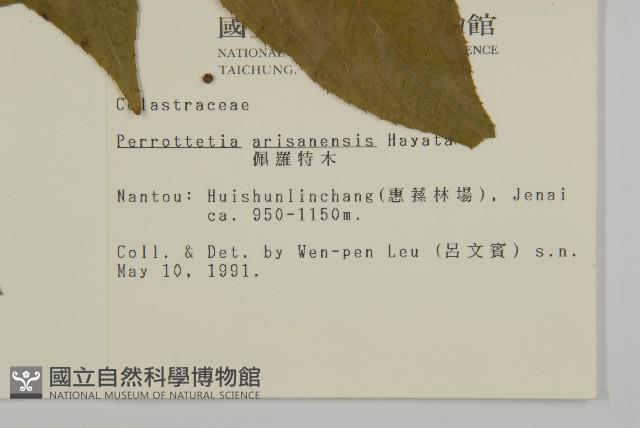 佩羅特木藏品圖，第2張