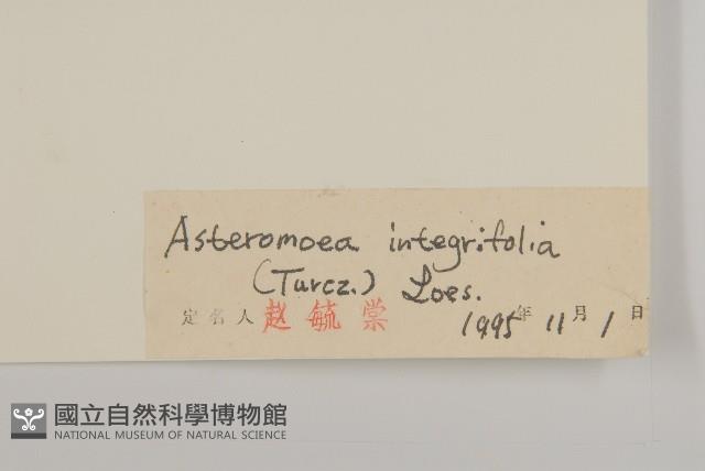 登錄號:S027363藏品圖，第3張