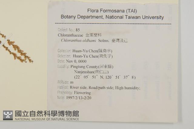 臺灣及己藏品圖，第2張