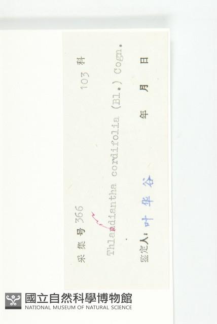 大苞赤瓟藏品圖，第3張