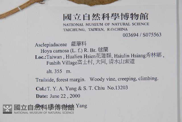 毬蘭藏品圖，第2張