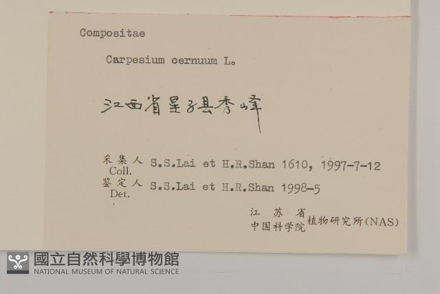 杓兒菜藏品圖，第3張