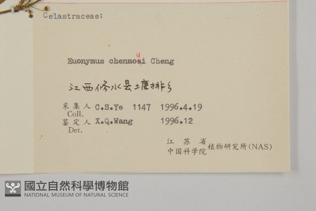 陳謀衛矛藏品圖，第3張