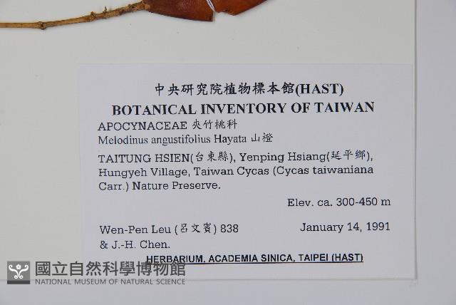 山橙藏品圖，第2張