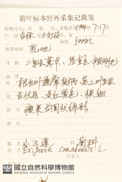加拿大蓬藏品圖，第2張
