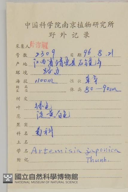 牡蒿藏品圖，第2張