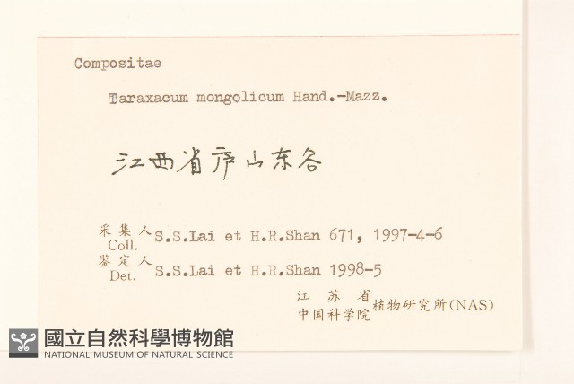 蒲公英藏品圖，第3張