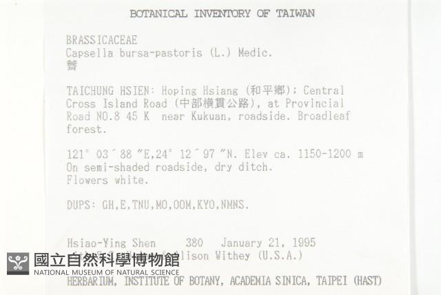 薺藏品圖，第2張