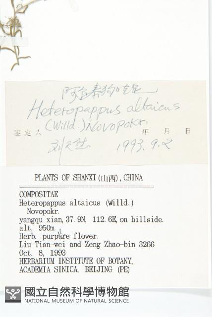 阿爾泰狗哇花藏品圖，第3張