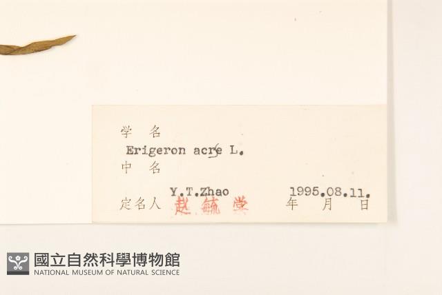 飛蓬藏品圖，第3張