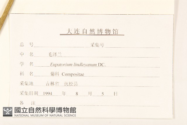 林氏澤蘭藏品圖，第3張