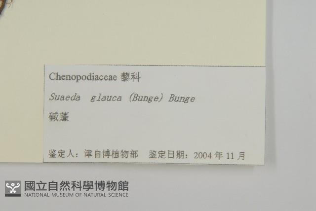 登錄號:S105083藏品圖，第3張