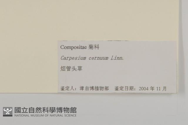 杓兒菜藏品圖，第3張