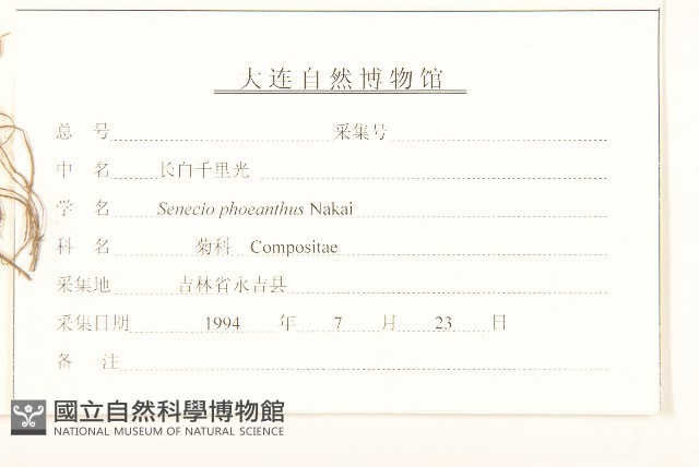 長白千里光藏品圖，第3張