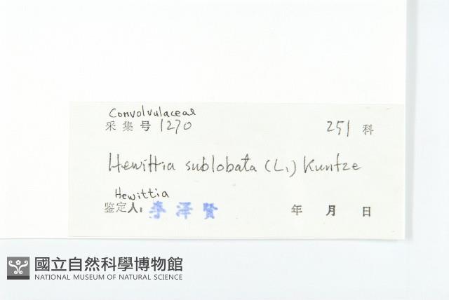 豬菜藤藏品圖，第3張