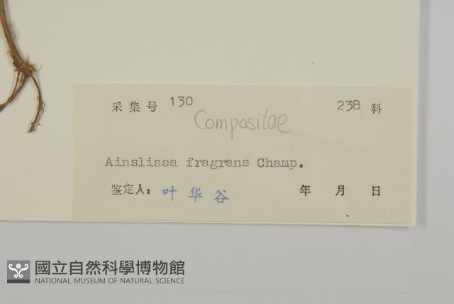 香鬼督郵藏品圖，第3張