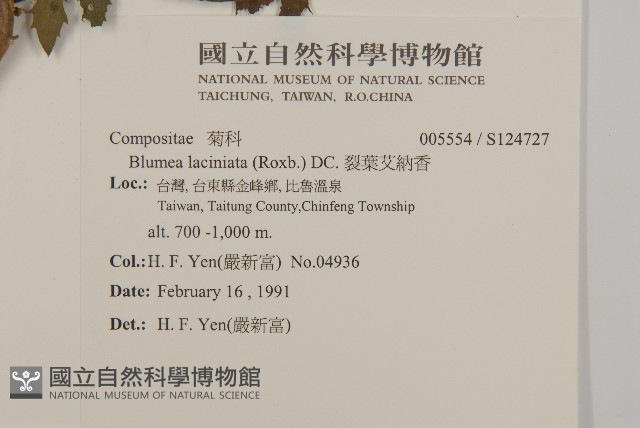 五掌楠藏品圖，第2張