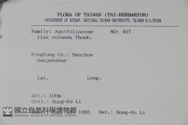 鐵冬青藏品圖，第2張