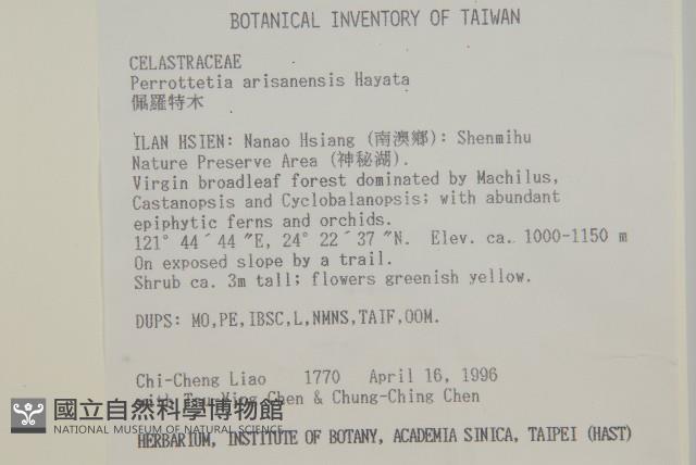 佩羅特木藏品圖，第5張