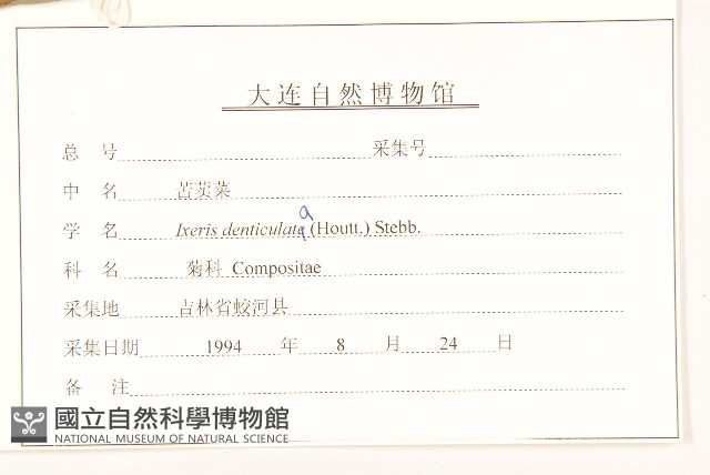 苦實菜藏品圖，第3張