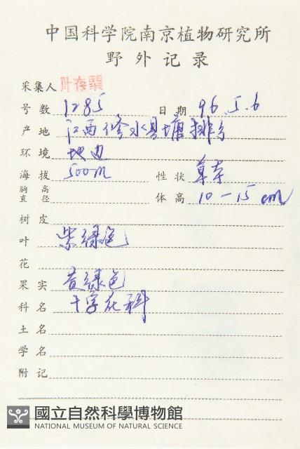 焊菜藏品圖，第2張