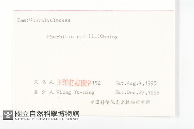 牽牛花藏品圖，第3張