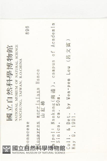 山紅柿藏品圖，第2張