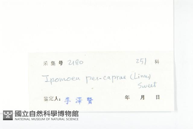 登錄號:S032827藏品圖，第3張