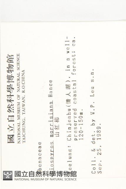 山紅柿藏品圖，第2張