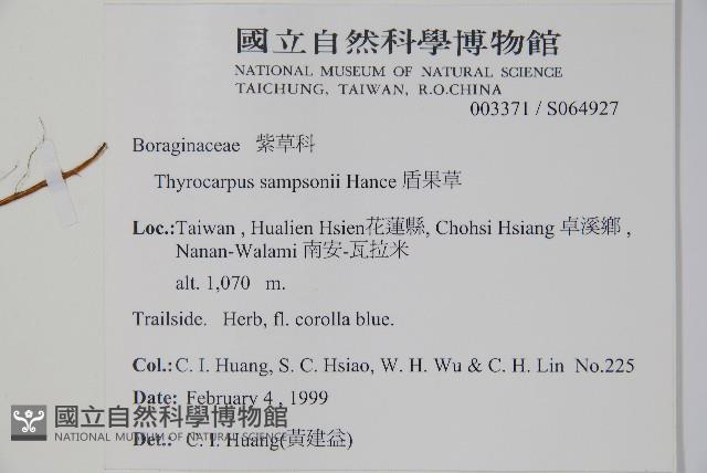 盾果草藏品圖，第2張