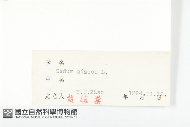 費菜藏品圖，第3張