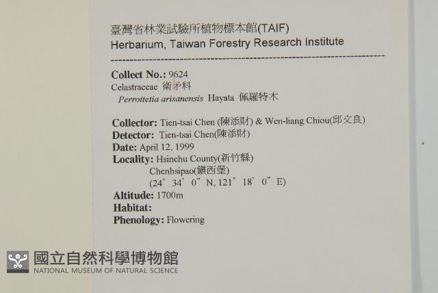 佩羅特木藏品圖，第2張