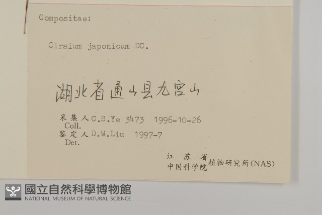 小薊藏品圖，第3張