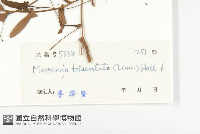 登錄號:S033607藏品圖，第3張