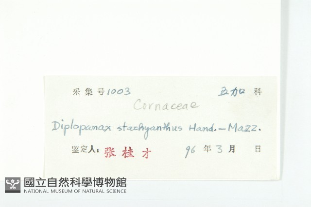 馬蹄參藏品圖，第3張