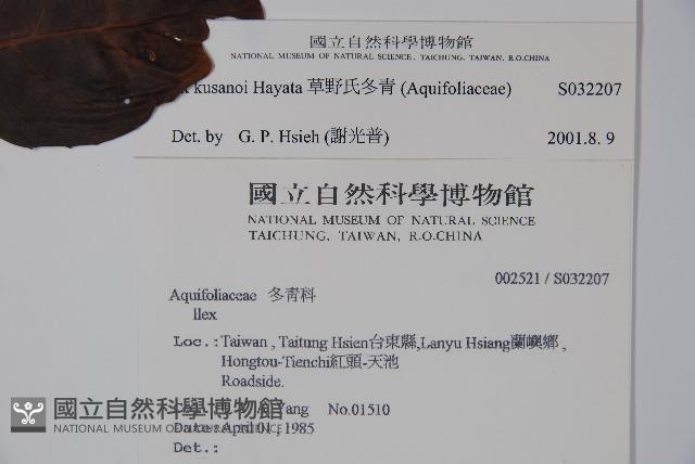 草野氏冬青藏品圖，第2張