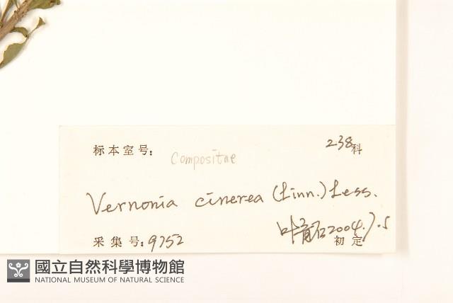 一枝香藏品圖，第3張