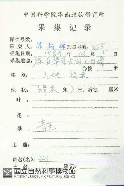 山紅柿藏品圖，第2張