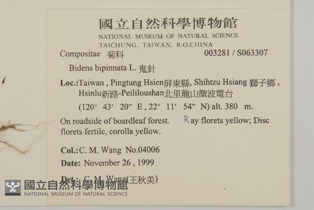 鬼針藏品圖，第2張