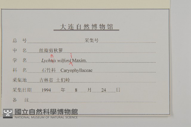 絲瓣剪秋籮藏品圖，第3張