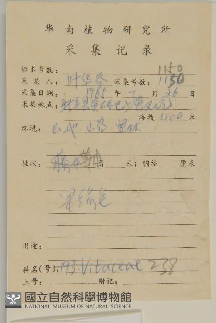 加拿大蓬藏品圖，第2張