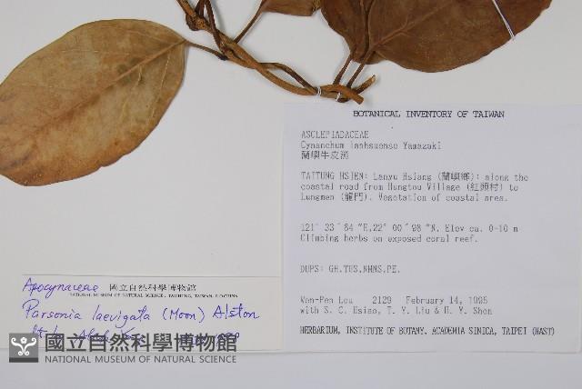 爬森藤藏品圖，第2張