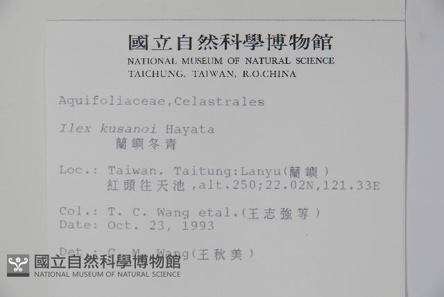 草野氏冬青藏品圖，第2張