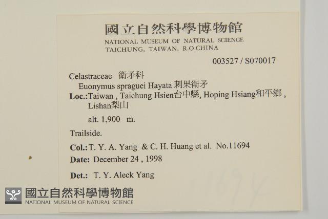 刺果衛矛藏品圖，第2張