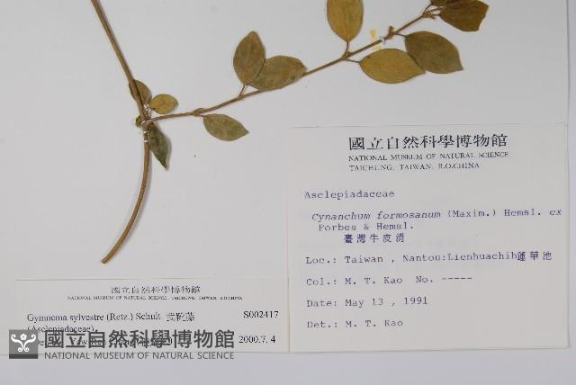 武靴藤藏品圖，第2張