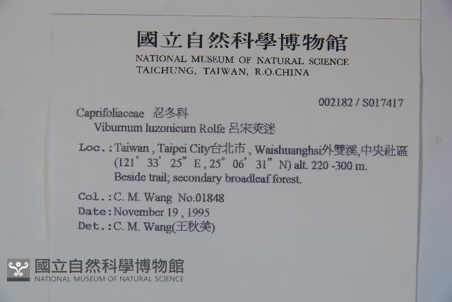 呂宋莢迷藏品圖，第2張